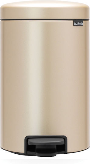 Brabantia NewIcon Inox Bathroom Basket 12lt Silver