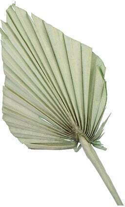 Artificial Decorative Palm Branch ED Collection