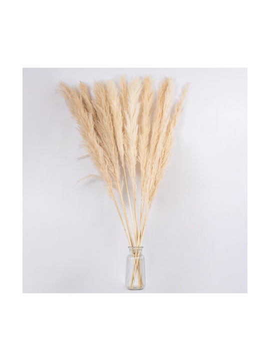 Artificial Decorative Branch Pampas Grass Beige 120cm 1pcs