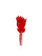 Dried Plant Red 1pcs