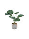 Artificial Plant in Small Pot 1pcs