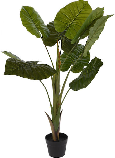 Φοίνικας σε Γλάστρα 110cm Koopman