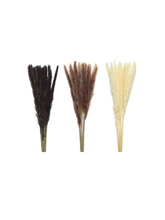 Kaemingk Artificial Decorative Branch Pampas Grass 75cm 1pcs