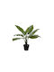 Artificial Plant in Pot 60cm 1pcs