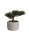 Asa Artificial Plant in Small Pot Green 1pcs