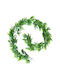Decorative Garland Buxus (Common box) 160cm Ecoshadow