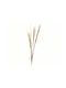 Kaemingk Decorative Feather Beige 115cm 1pcs