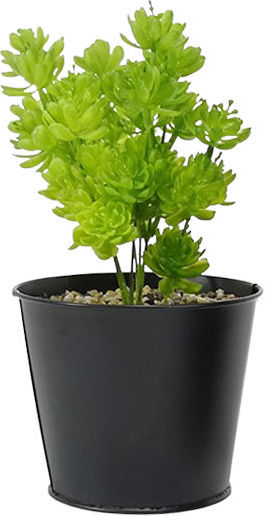 Künstliche Pflanze im Töpfchen Schwarz 28cm General Trade
