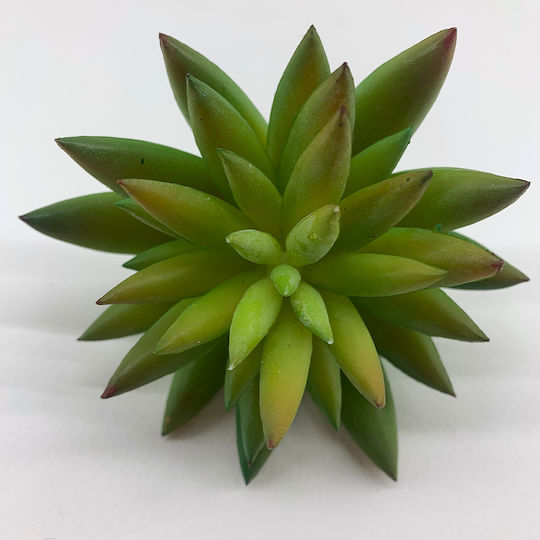 Artificial Decorative Branch Succulent Plant 8.5cm Riniotis