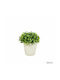 Artificial Plant in Small Pot Green 15cm Arte Regal