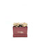 Ewige Rose Gold 9cm in Box Aleiferopoulos Flowers