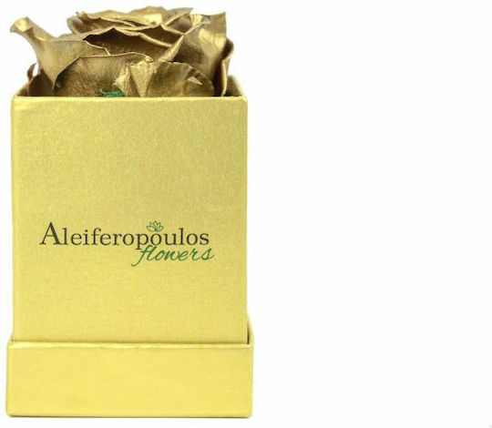 Trandafir Etern Auriu în cutie Aleiferopoulos Flowers