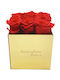 Trandafir Etern Red 15cm în cutie Aleiferopoulos Flowers