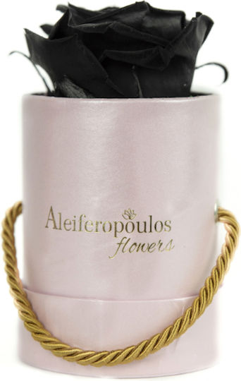 Вечно роза Черен в кутията Aleiferopoulos Flowers