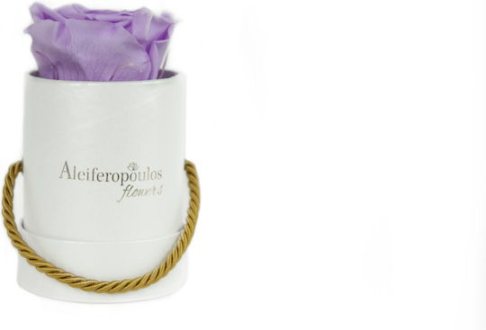 Eternal Rose Purple in Box Aleiferopoulos Flowers