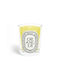 Diptyque Scented Candle Jar Green 190gr 1pcs