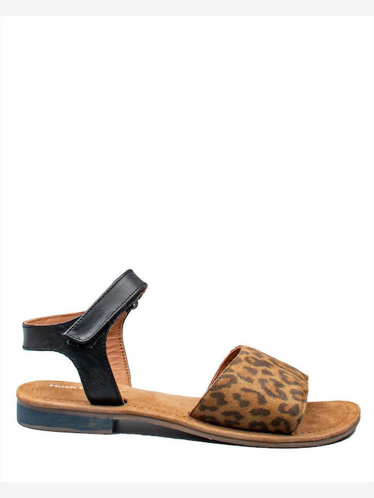 Hush Puppies