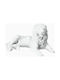 Soldatos Decorative Lion made of Stone 16x16x8.5cm 1pcs