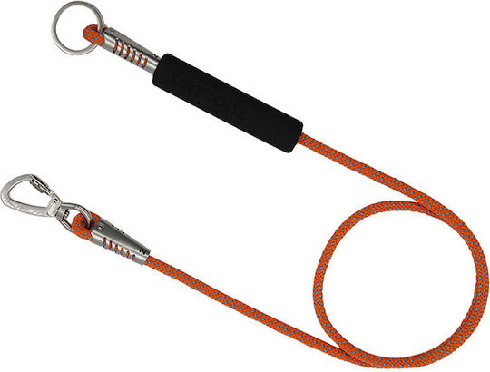 Dog Leash/Lead Strap in Orange color