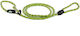Kiwi Walker Dog Leash/Lead Strap in Green color