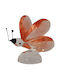Sinialo Decorative Butterfly made of Crystal 5.5x4x5.2cm 1pcs