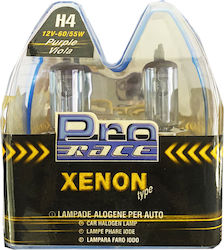 Protype Λάμπες H4 Xenon Μωβ 2τμχ Protype Λάμπες H4 Xenon Μωβ 2τμχ