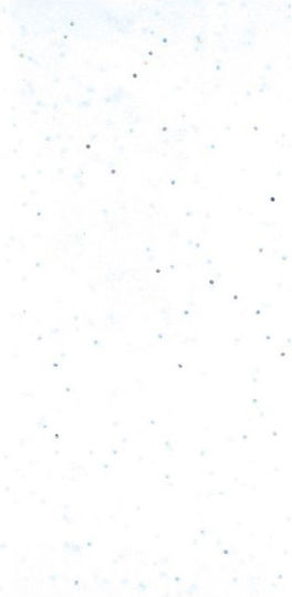 Claire Fontaine Touch/Tissue-Papier Glitzer Weiß 6 Blätter 50x70cm