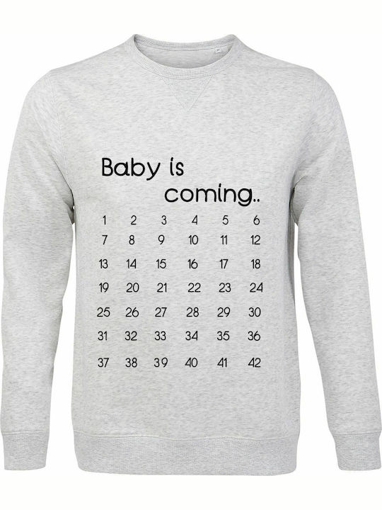 Baby Sweatshirt Gray