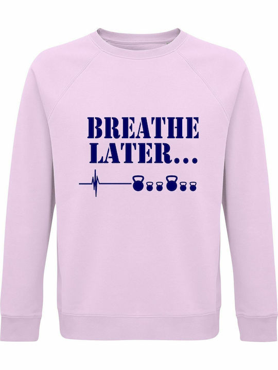 Later Sweatshirt Pink