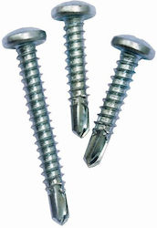 Flash Drilling Screw Phillips Galvanized with Diameter M4.8 and Length 25mm 1000pcs