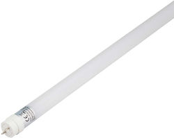 V-TAC LED-Glühbirnen Fluoreszierend für Sockel G13 und Form T8 Warmes Weiß 1850lm 1Stück