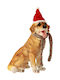 Christmas Fabric Figure Doggy Brown Height 38cm