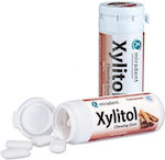 Xylitol Chewing Gum Cinnamon 30pcs - Xylitol Chewing Gum with Cinnamon Flavor