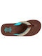 Cool Women's Flip Flops Brown