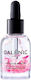 Galenic Huile De Beaute Elixir Pre-Soin Floral Αnti-aging & Moisturizing Jojoba Facial Oil 30ml