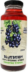 HealthTrade Βιολογικός Χυμός Blueberry 250ml HealthTrade Βιολογικός Χυμός Blueberry 250ml