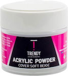 Trendy Color Cosmetics Acryl-Pulver 30gr 09.152