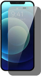 Baseus Filter Anti Spy 0.4mm (iPhone 12 / 12 Pro) Baseus Filter Anti Spy 0.4mm (iPhone 12 / 12 Pro)