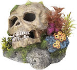 Nobby Aquarium Decoration Skull 28102