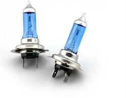 Lămpi H7 Halogen 5500K Alb rece 12V 100W 2buc