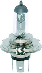 Chaft Lamp H4 Halogen