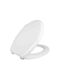Capac WC Plastic 45x37cm Alb