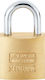Burg Wachter Bronze Padlock Brass with Key 20mm 1pcs