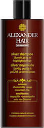 Alexander Hair Σαμπουάν Διατήρησης Χρώματος 300ml Alexander Hair Σαμπουάν Διατήρησης Χρώματος 300ml