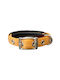 Pet Interest Κολάρο Σκύλου σε Χρυσό χρώμα Medium 20mm x 50cm