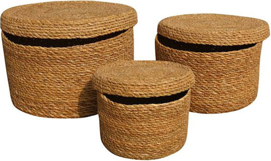 InTheBox Σετ Διακοσμητικά Κουτιά Ξύλινα 25x14cm 3τμχ
