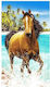 Strandtuch 180x100cm.