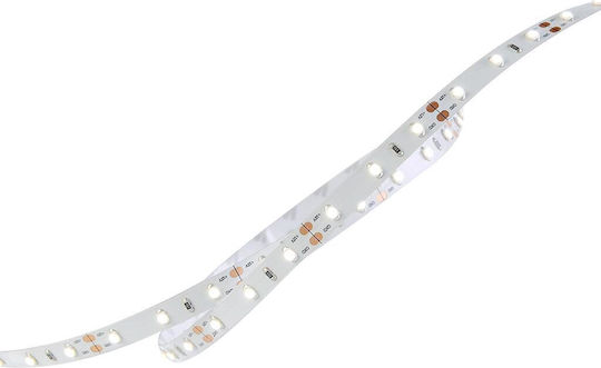 Geyer Wasserdicht LED-Streifen 12V Natürliches Weiß Licht 5m