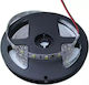 Stimeno LED Лента 12V Студено бяло Светлина 1м с Захранване