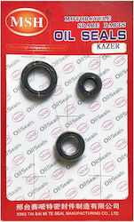 Engine Seal TSI101-K01